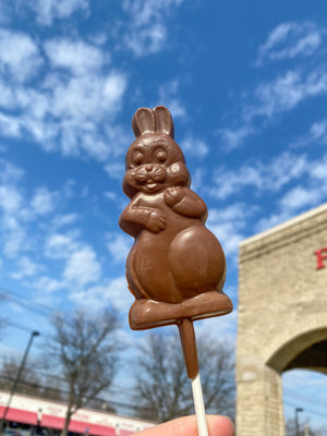 Solid Chocolate Bunny Sucker